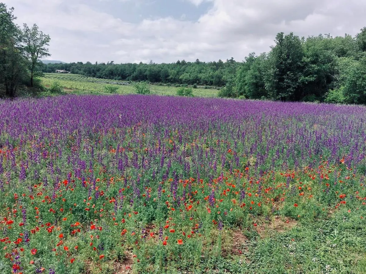 Villa Les Jardins D'Isa Tourves Francia